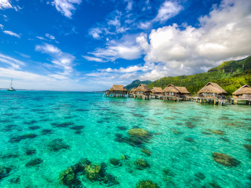 Tahitian lagoon