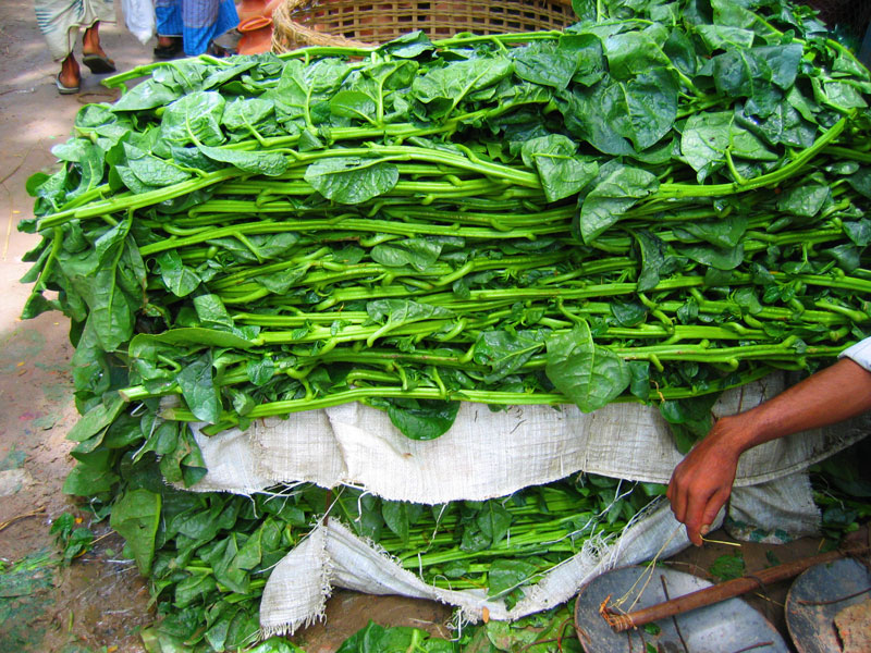 Indian vendor with a large bundle of fresh saag greens