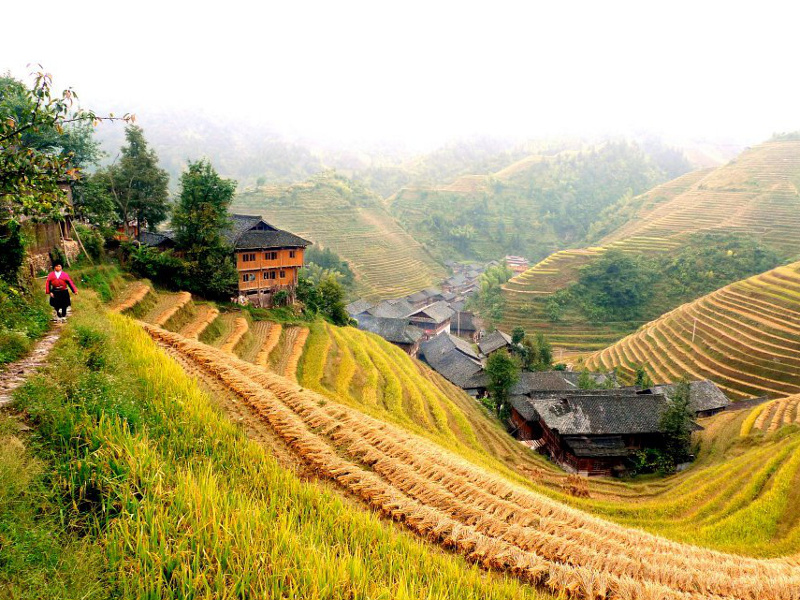 China: Recipes and Cuisine