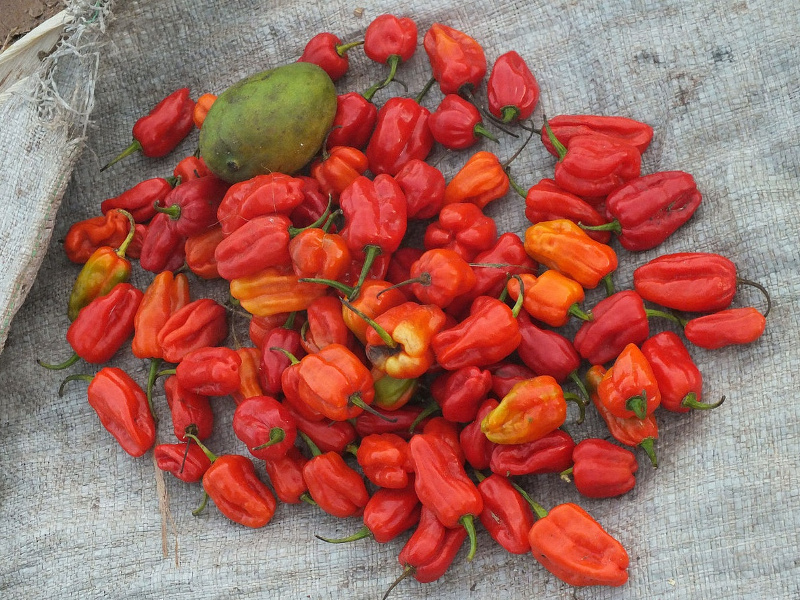 Camarões Piri-Piri