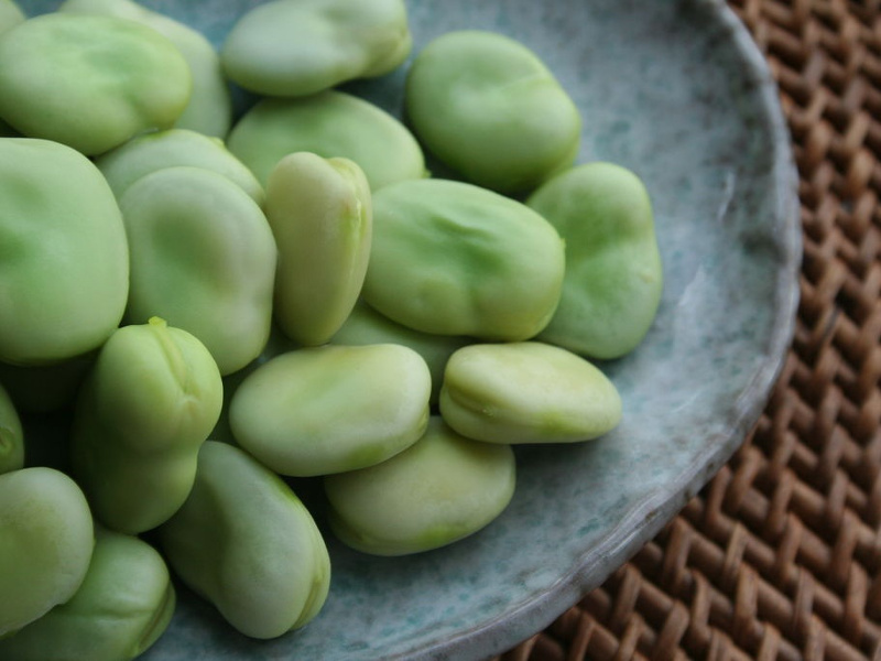 Fava Beans: Buying, Storing and Using