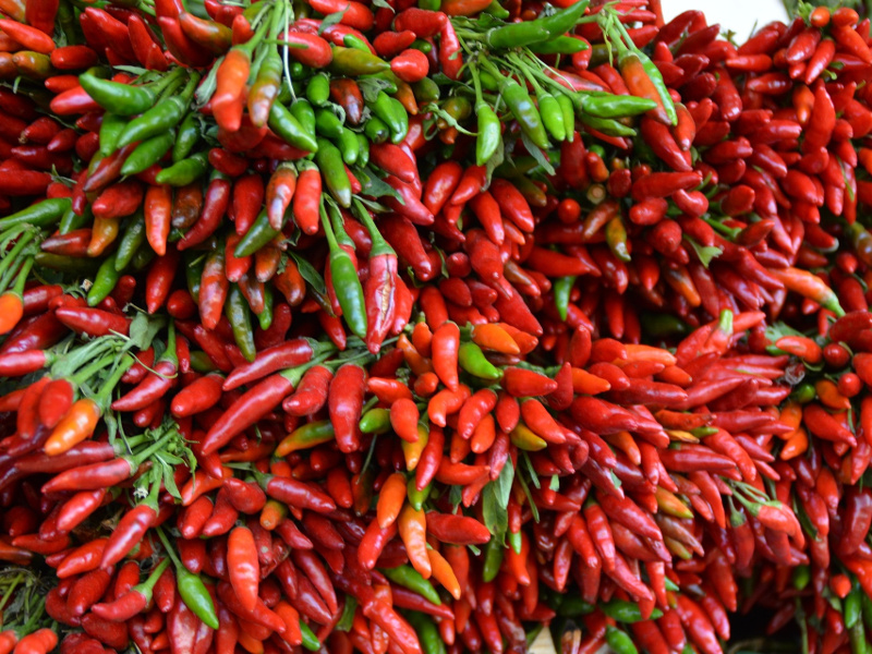 Peppers: Buying, Storing and Using