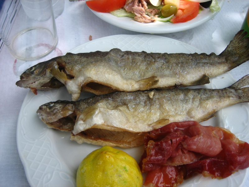 Truchas a la Navarra